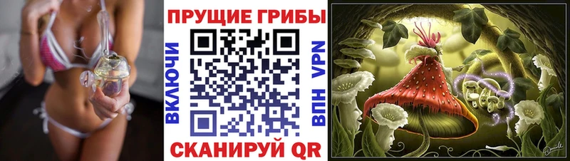 сколько стоит  Тырныауз  Псилоцибиновые грибы Psilocybine cubensis 